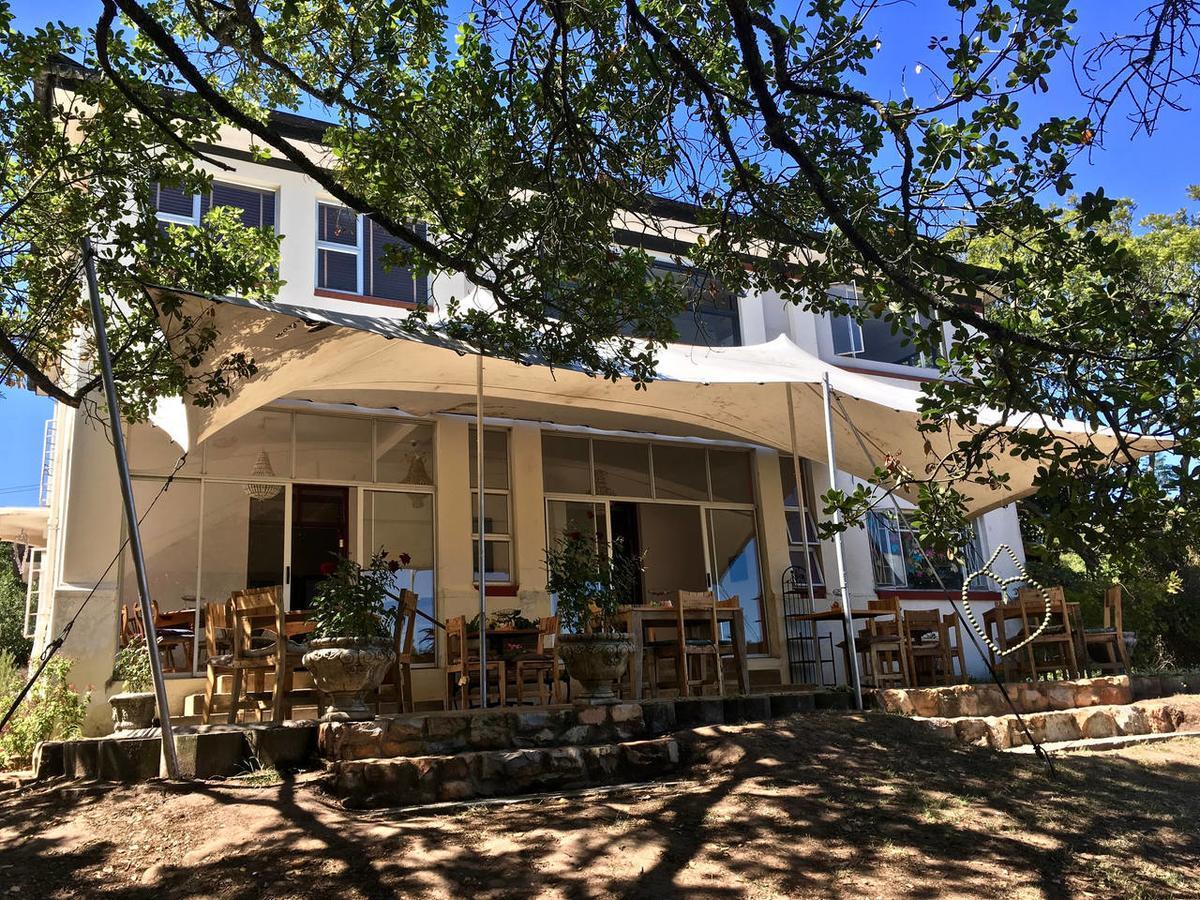 Shepherd'S Tree Backpackers Knysna Exterior foto